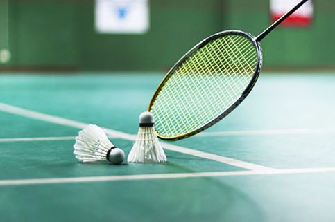 Árvind Grêatlânds Phase 3 Amenities - Badminton Court